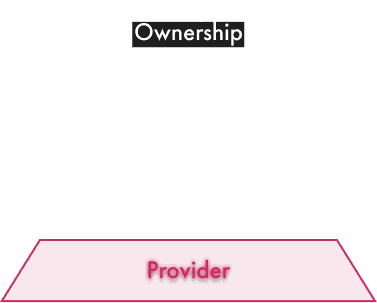 Read and write: provider-dominated insecure web pyramid